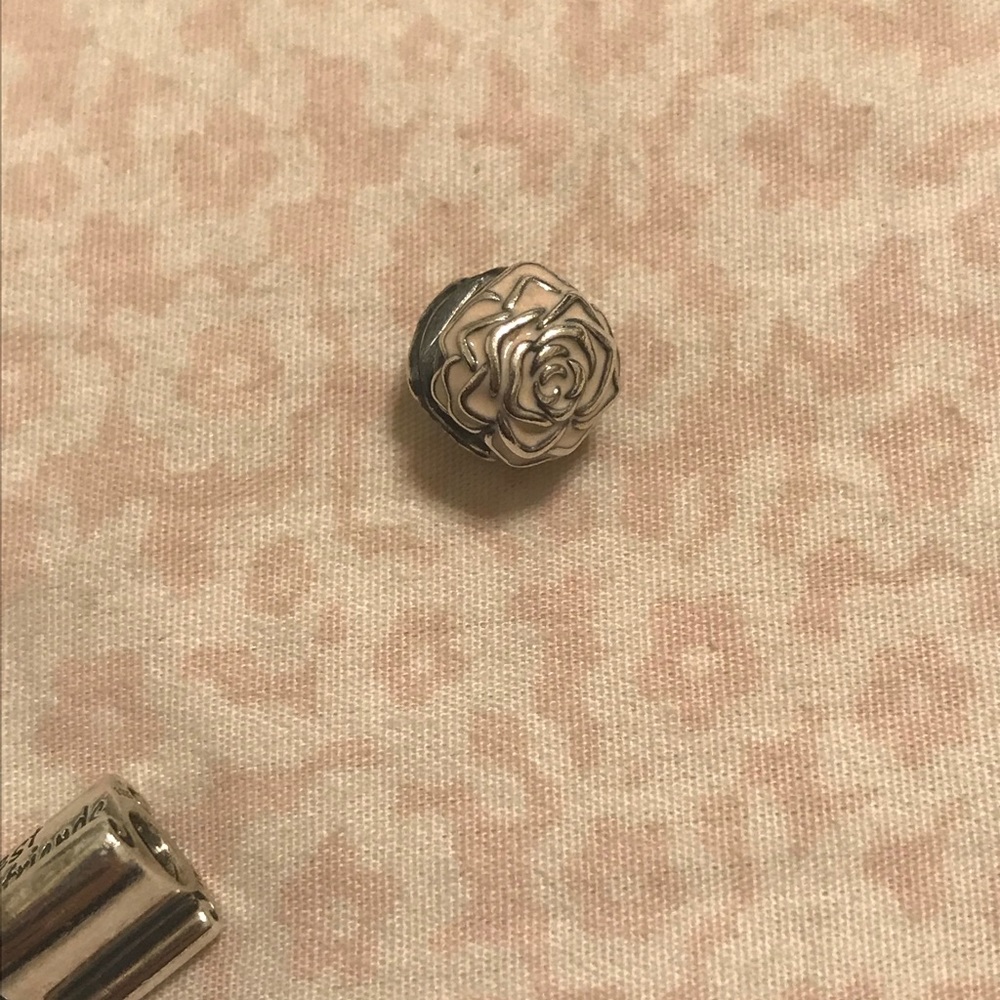 Pandora charms